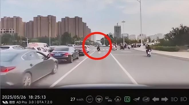 ：女司机气到流产公布完整行车记录仪冰球突破河北女司机与骑手冲突后续(图6)