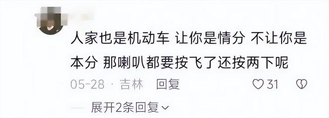 ：女司机气到流产公布完整行车记录仪冰球突破河北女司机与骑手冲突后续(图4)