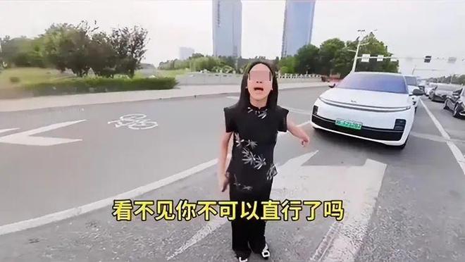 ：女司机气到流产公布完整行车记录仪冰球突破河北女司机与骑手冲突后续(图15)