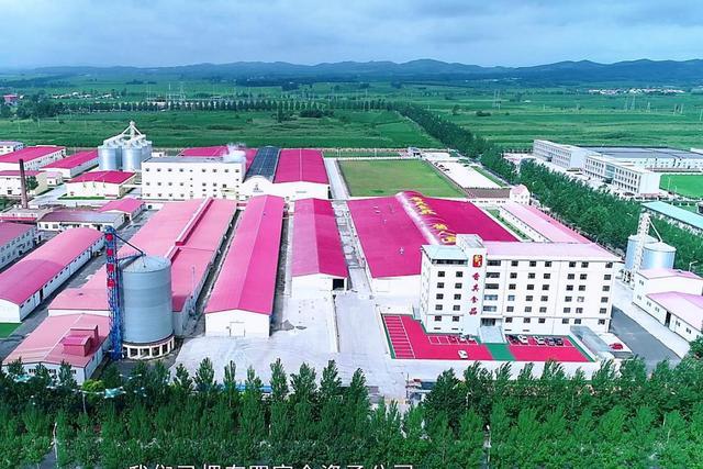 香其食品演绎“酱人匠心”冰球突破游戏笃行30载:(图2) 香其食品演绎“酱人匠心”冰球突破游戏笃行30载:(图2)